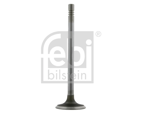 Intake Valve